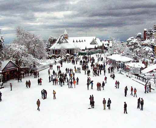 Birthday Celebration planner Shimla